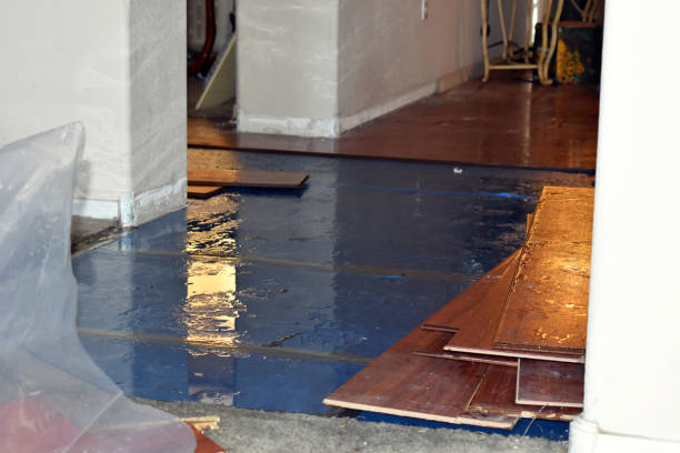 Professional Emergency Water Damage Restoration technician working in Milan, NM